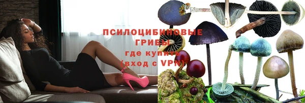 герыч Арсеньев